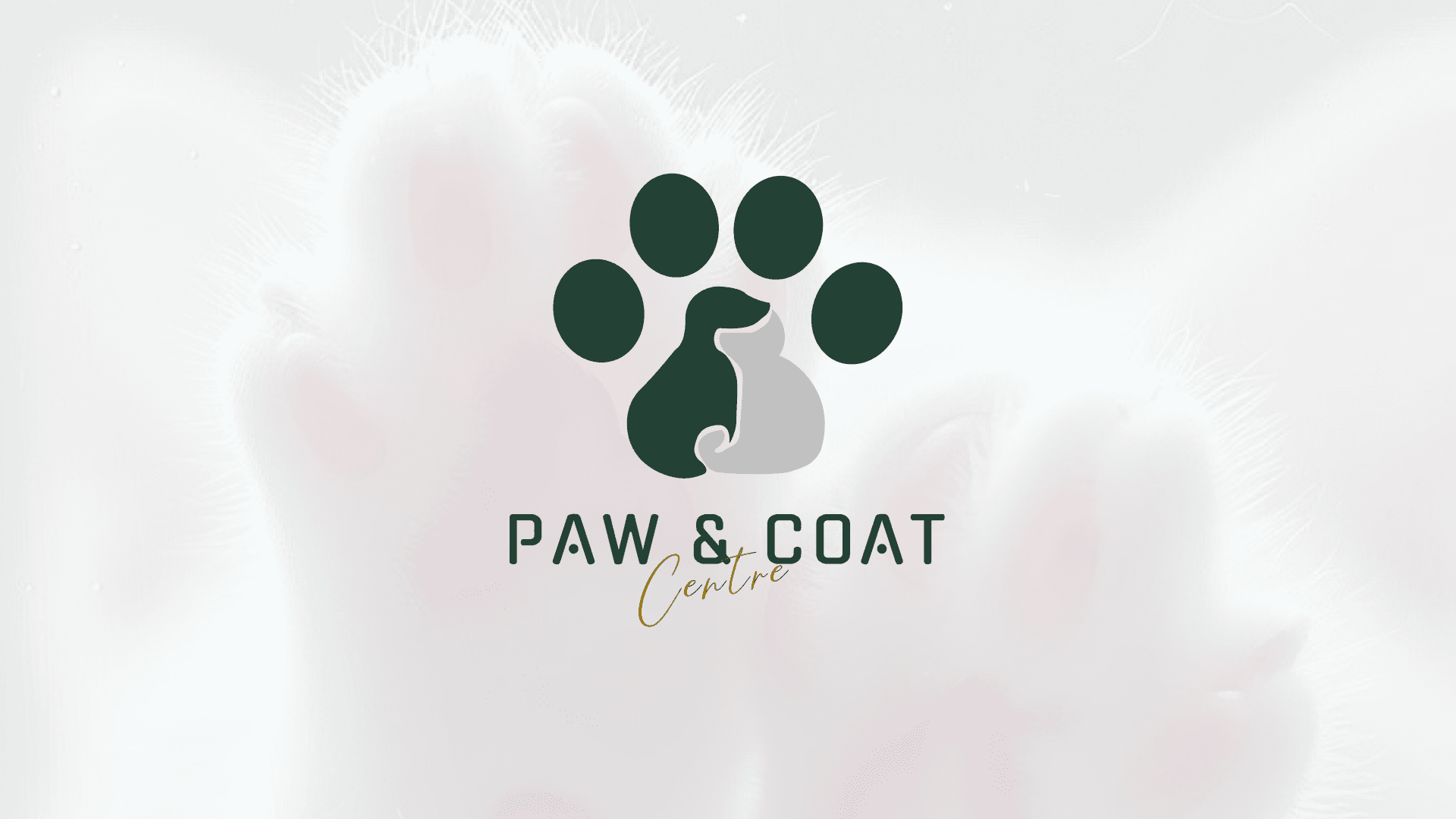 Paw & Coat